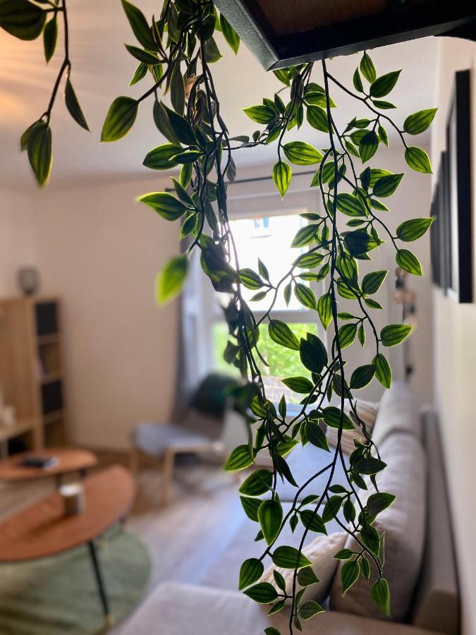 Dijon - Appartement Darcy / Gare المظهر الخارجي الصورة